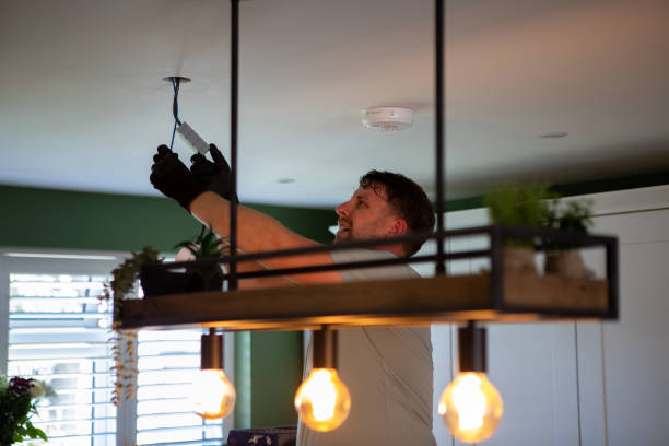 Best Electric Panel Repair  in Greenhills, OH